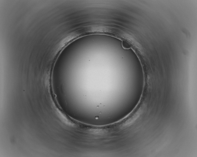 X0000112371033200908131513