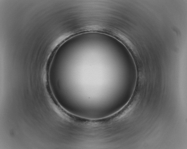 X0000112371034200908131513