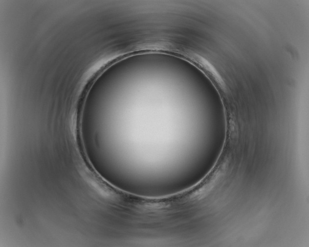 X0000112371035200908131513