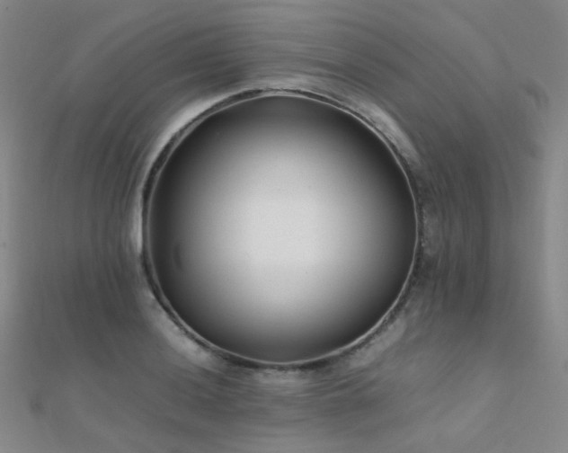 X0000112371036200908131513