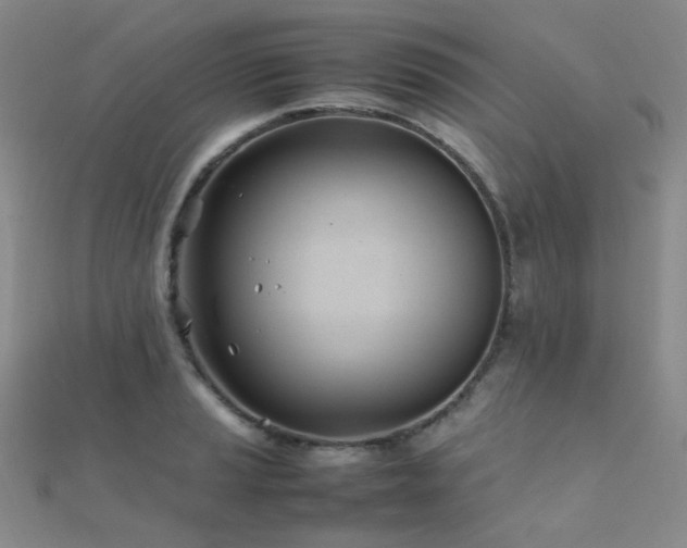 X0000112371037200908131513