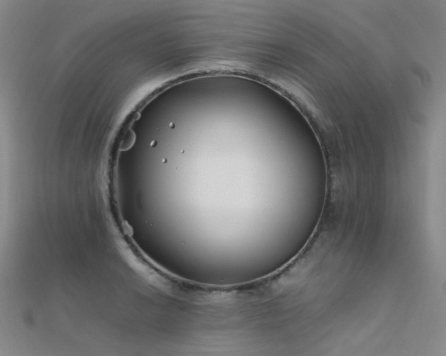 X0000112371038200908131513