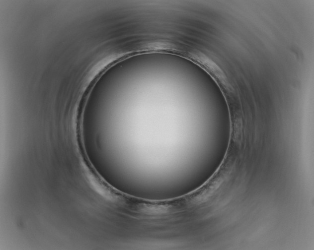 X0000112371039200908131513