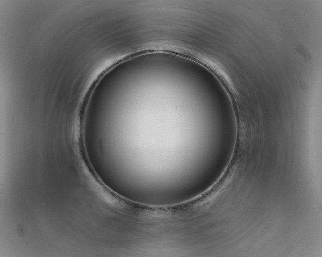 X0000112371040200908131513