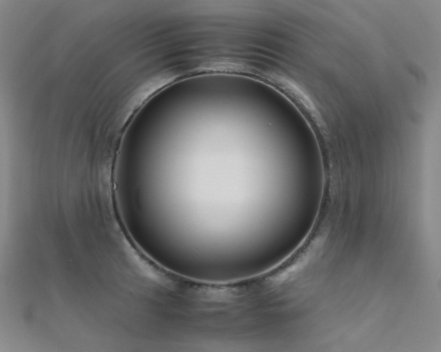X0000112371041200908131513