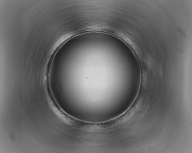 X0000112371042200908131513