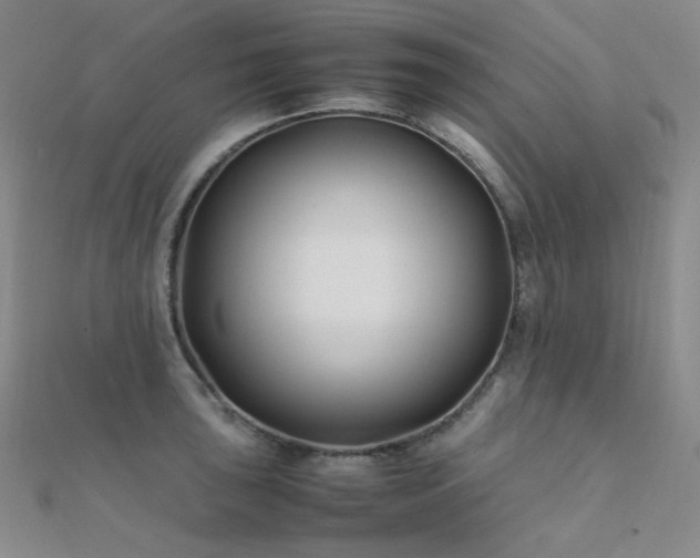 X0000112371043200908131513