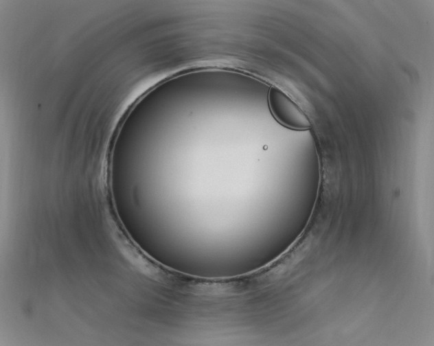 X0000112371044200908131513