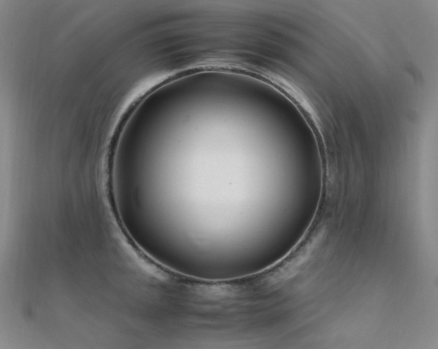 X0000112371045200908131513