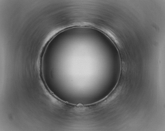 X0000112371046200908131513
