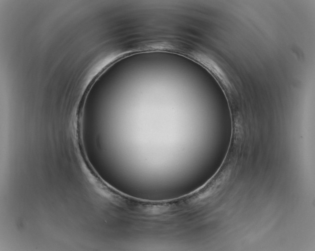 X0000112371047200908131513