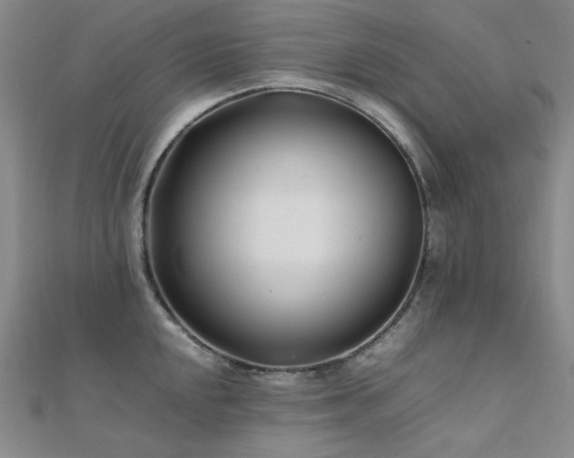 X0000112371048200908131513