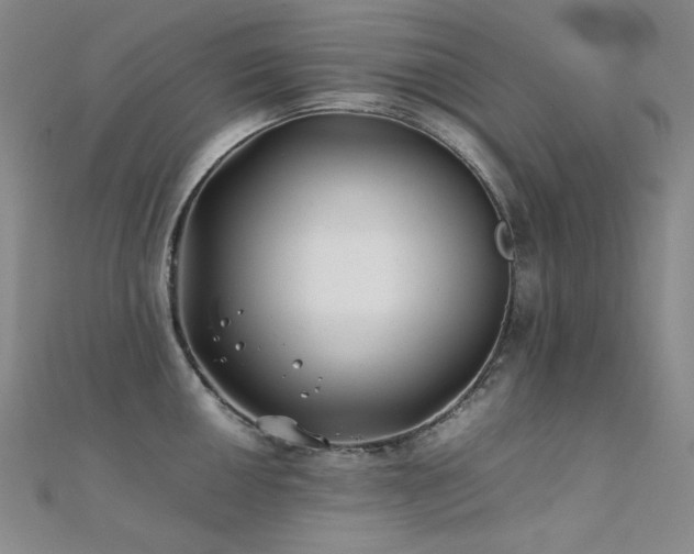 X0000112371050200908131513