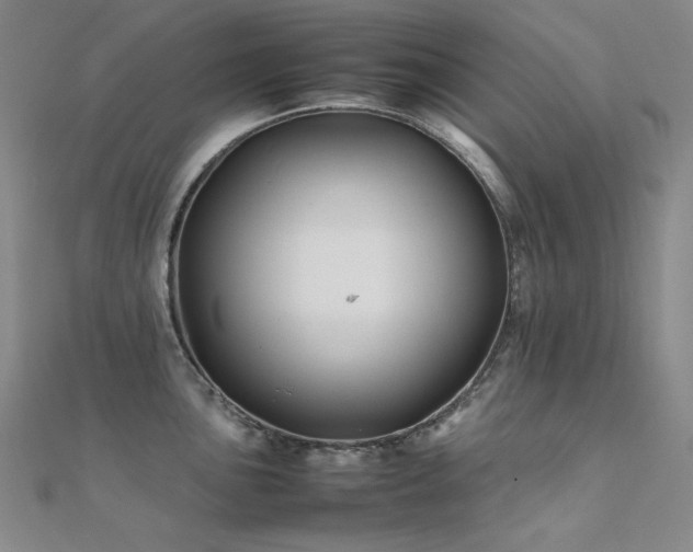 X0000112371051200908131513