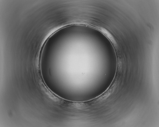 X0000112371052200908131513