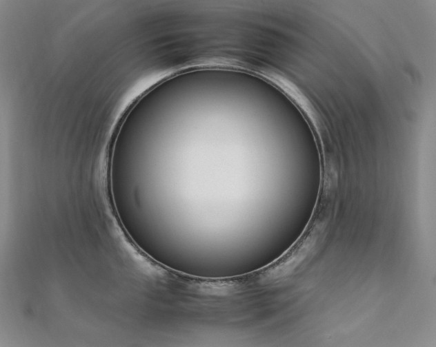 X0000112371053200908131513