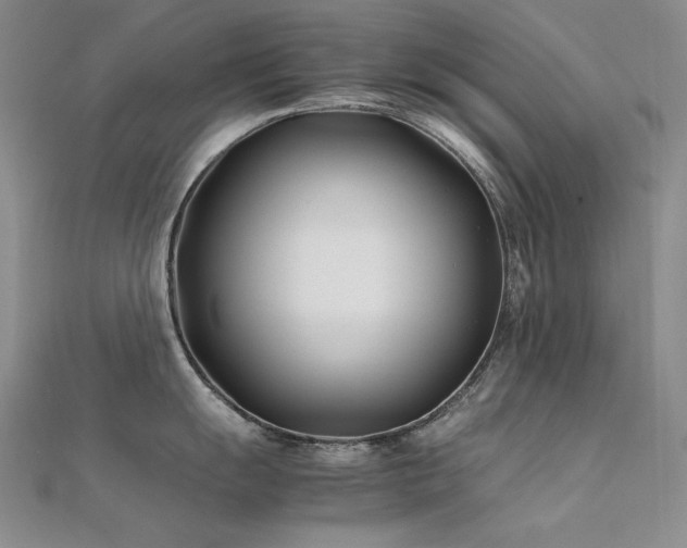 X0000112371055200908131513