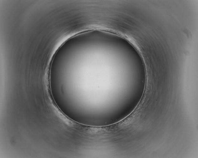 X0000112371056200908131513