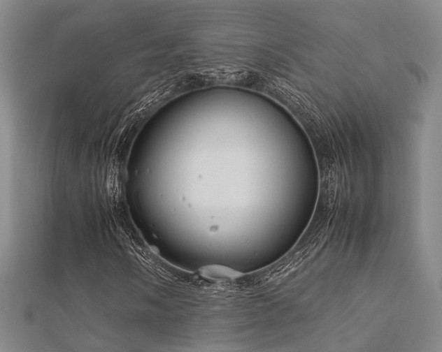 X0000112371058200908131513