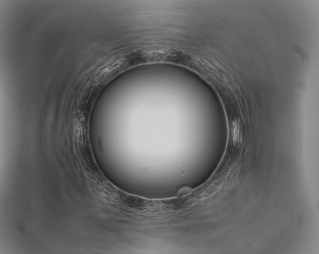 X0000112371059200908131513