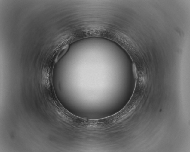 X0000112371060200908131513