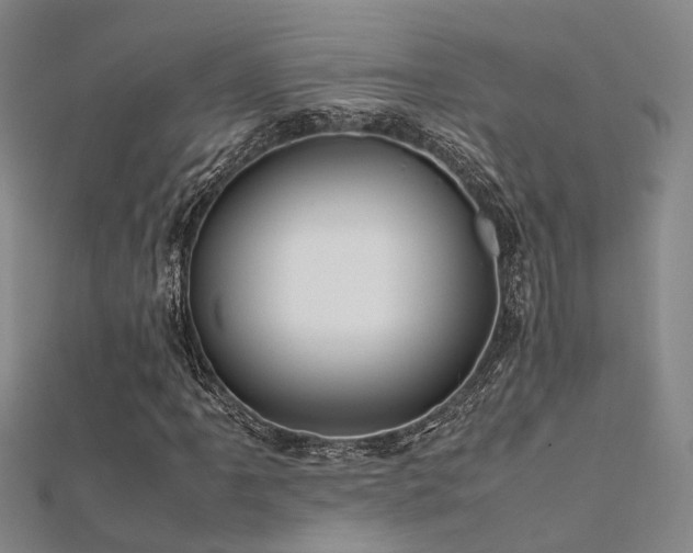 X0000112371061200908131513