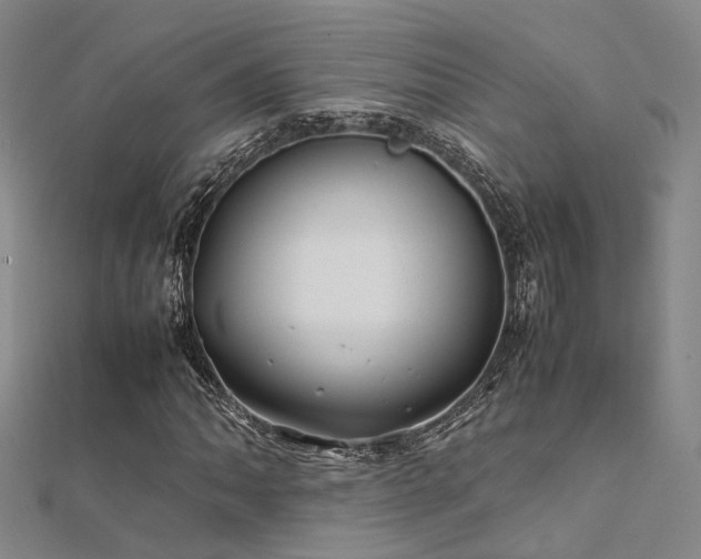 X0000112371062200908131513