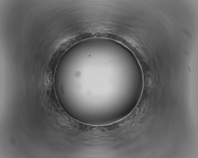 X0000112371063200908131513