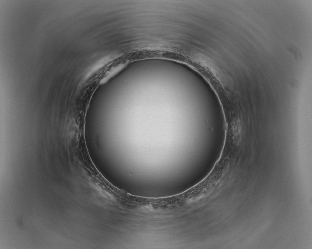 X0000112371064200908131513