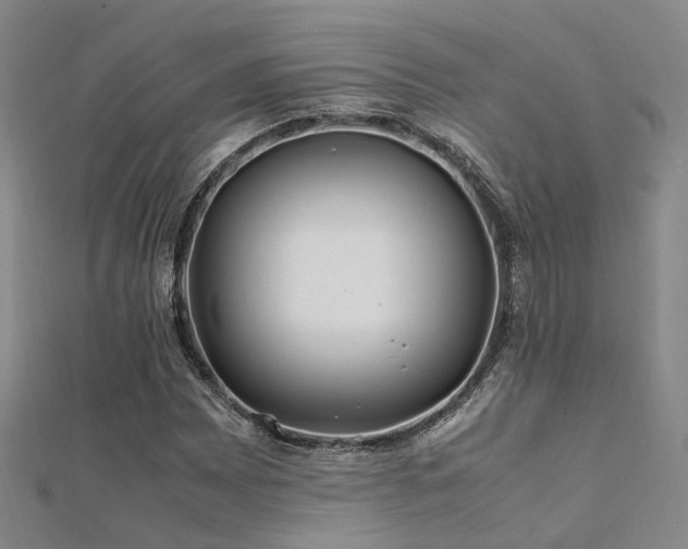 X0000112371065200908131513