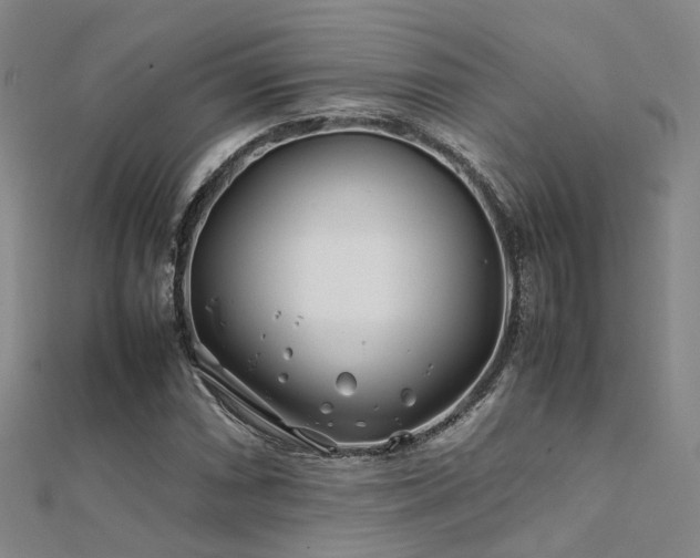 X0000112371066200908131513