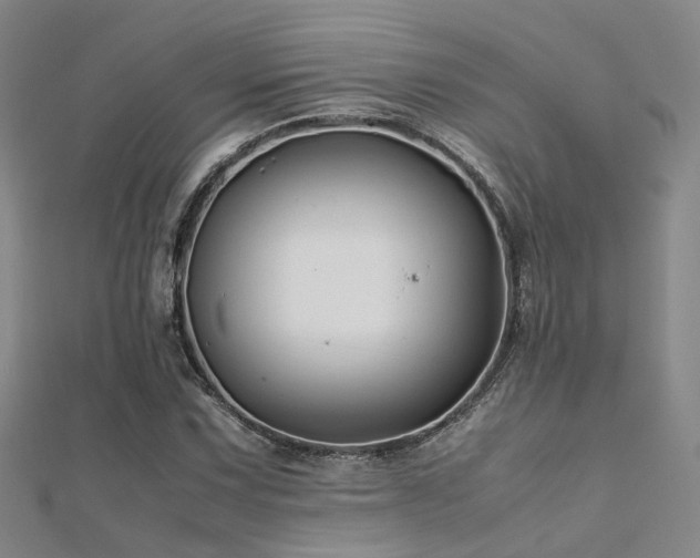 X0000112371067200908131513