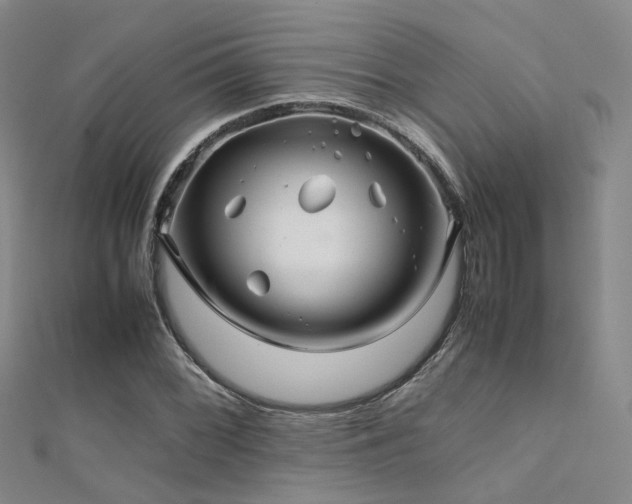 X0000112371068200908131513