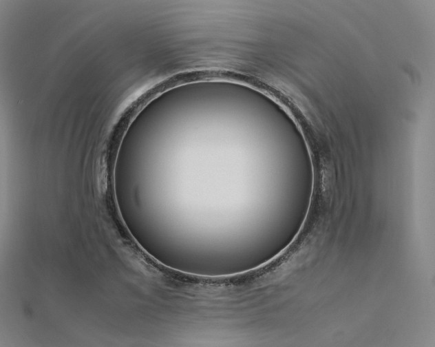 X0000112371069200908131513