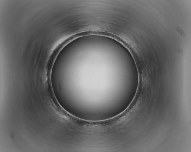 X0000112371070200908131513
