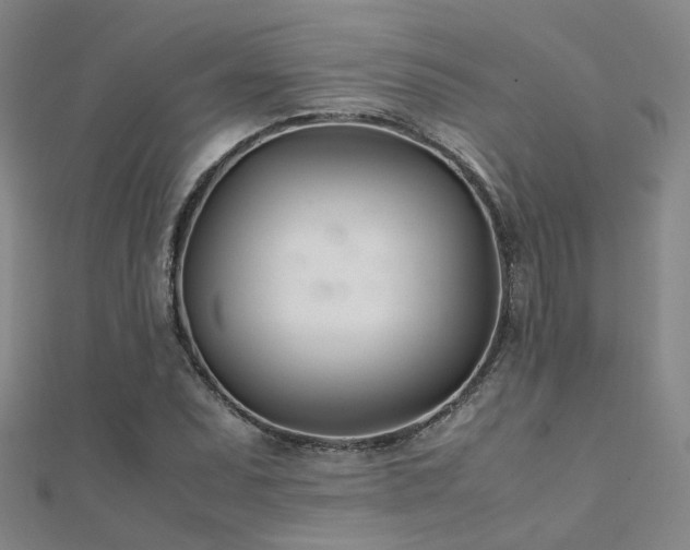 X0000112371071200908131513