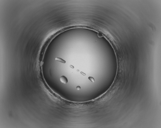 X0000112371072200908131513