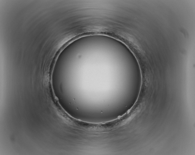 X0000112371073200908131513