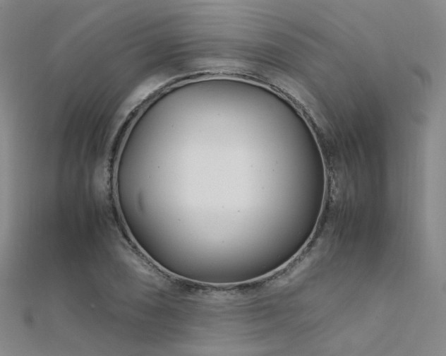 X0000112371074200908131512