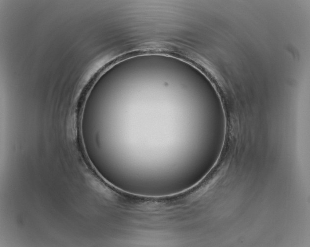 X0000112371075200908131512