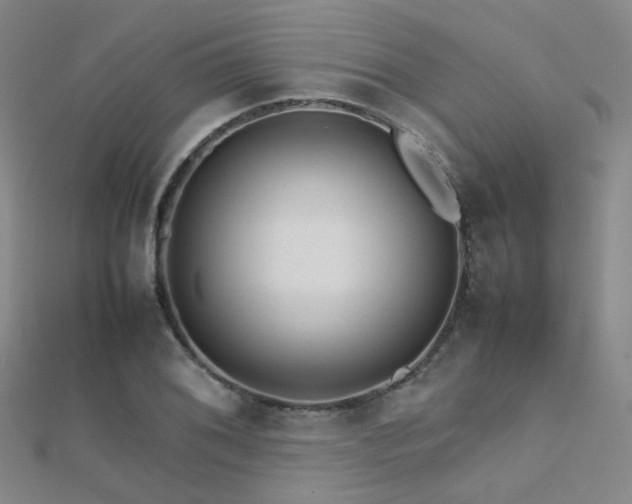 X0000112371076200908131512