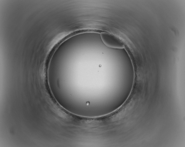 X0000112371077200908131512