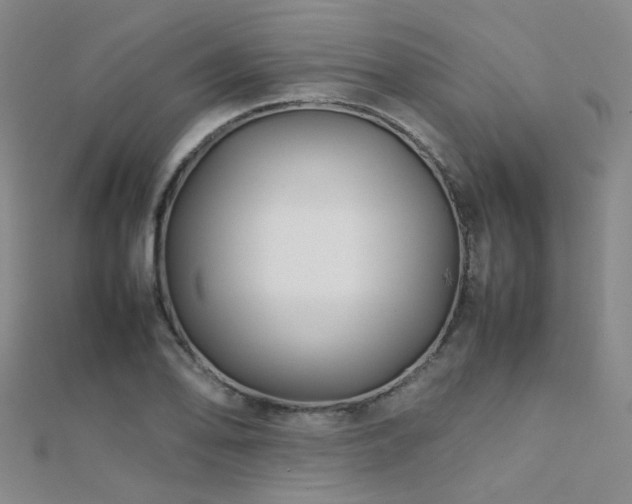 X0000112371078200908131512