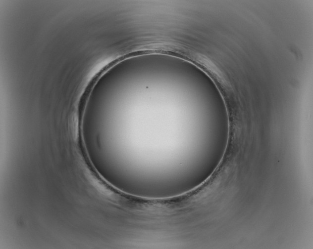 X0000112371079200908131512