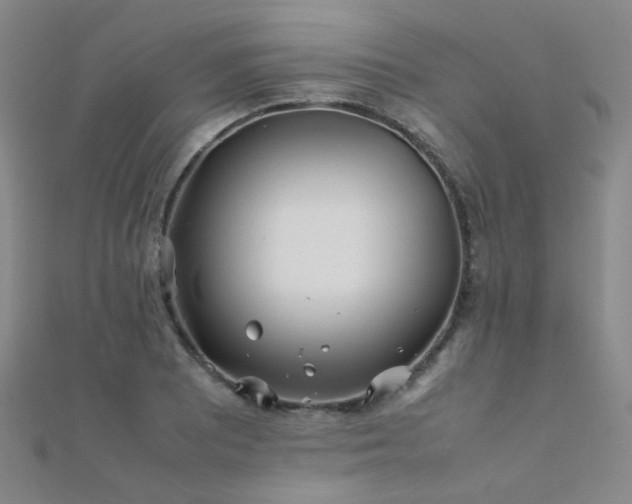 X0000112371081200908131512