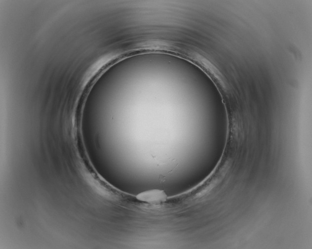 X0000112371082200908131512