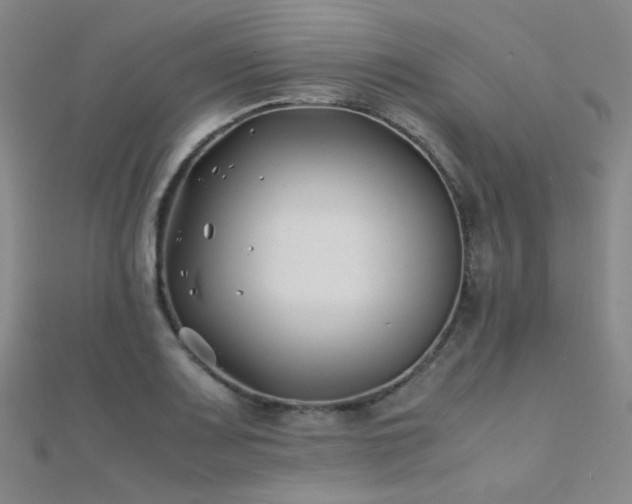 X0000112371083200908131512