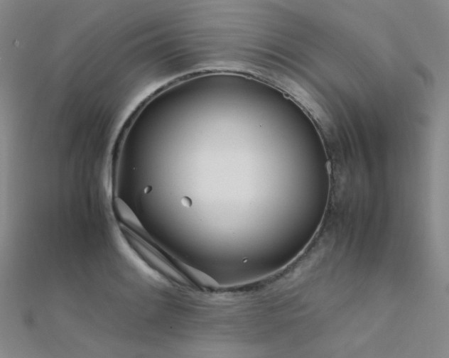 X0000112371084200908131512