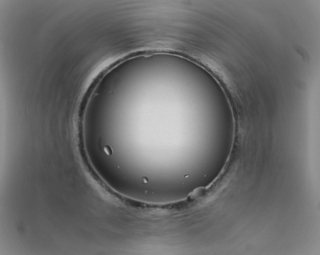 X0000112371085200908131512
