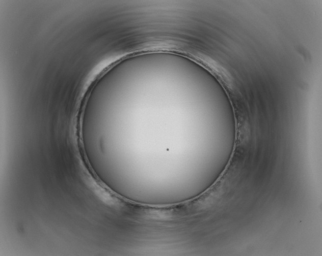 X0000112371086200908131512